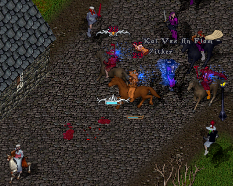d337.png